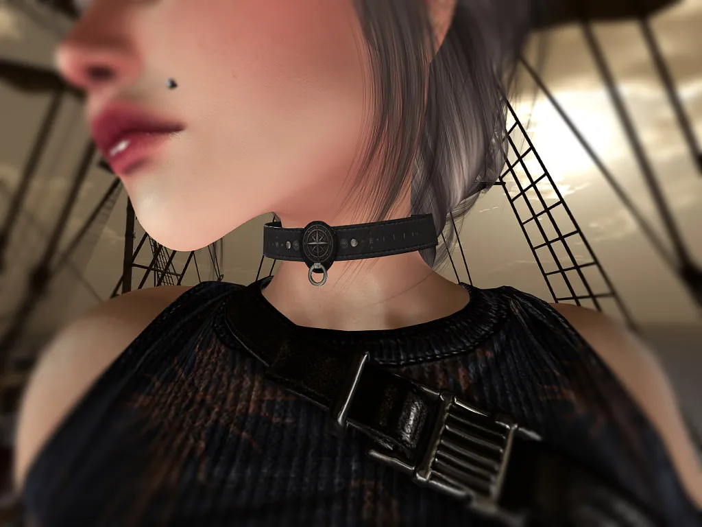 Navigate collar by DarkHeat Designs